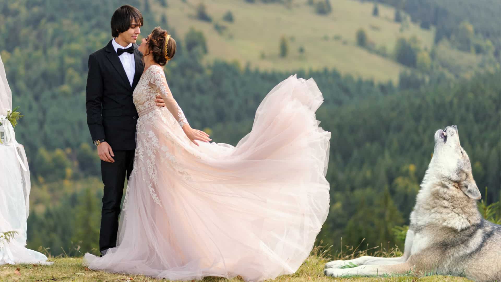 Bride and groom with wolf howling